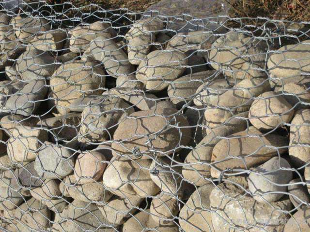 石籠網(wǎng)--02